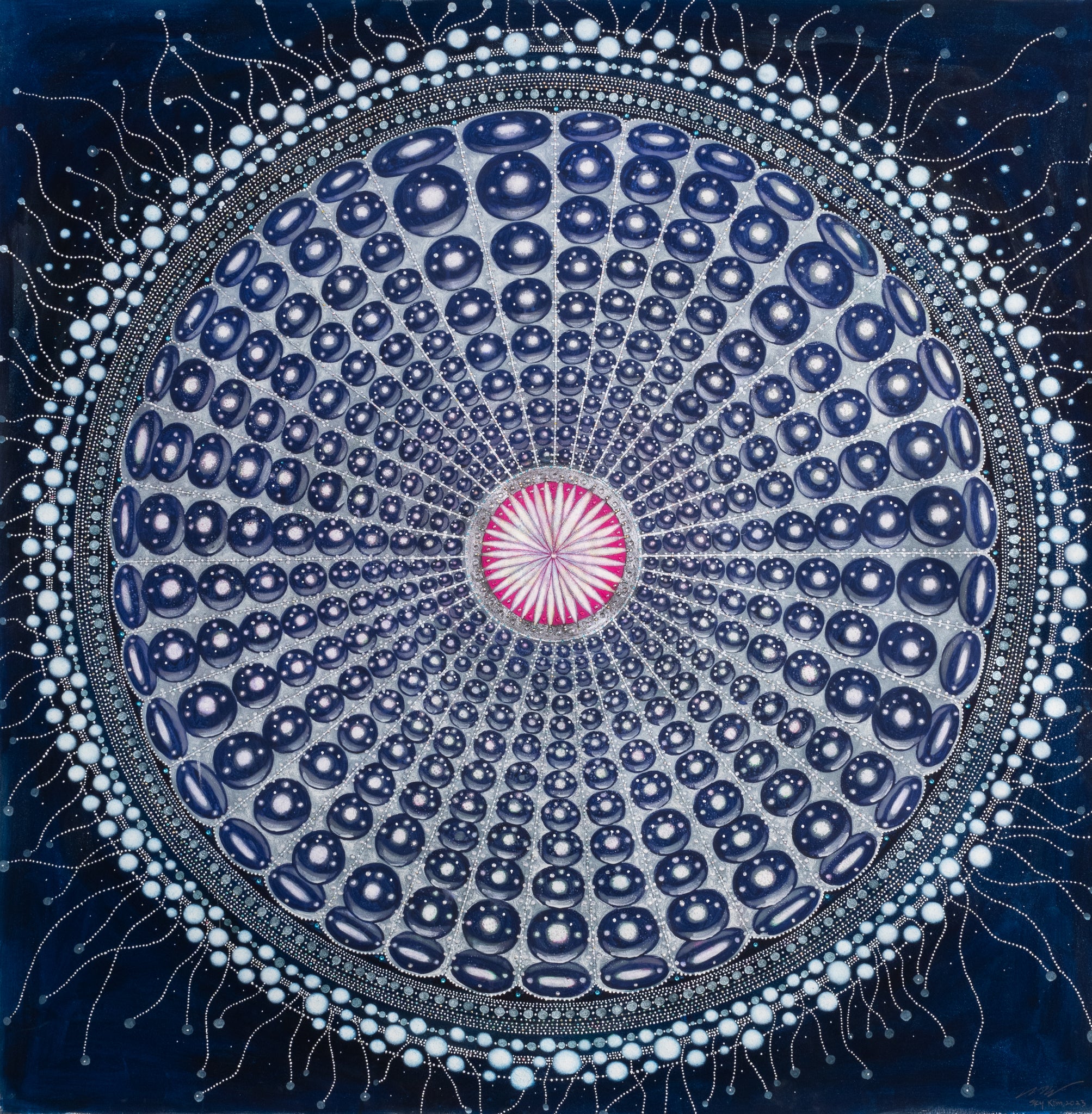 Sea Urchin Shell, Deep-sea Series